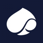 CAPGEMINI CONSULTING