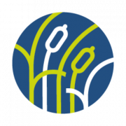 Ingénieur projets en réseaux de distribution électrique