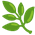 🌿