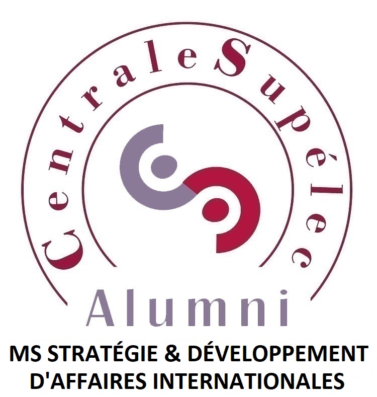 MS Stratégie et Développement d'Affaires Internationales