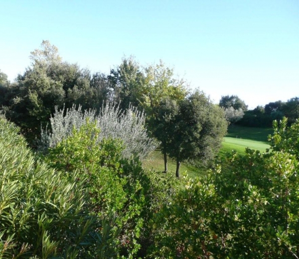 Visite du 06 novembre à Figanières : les photos