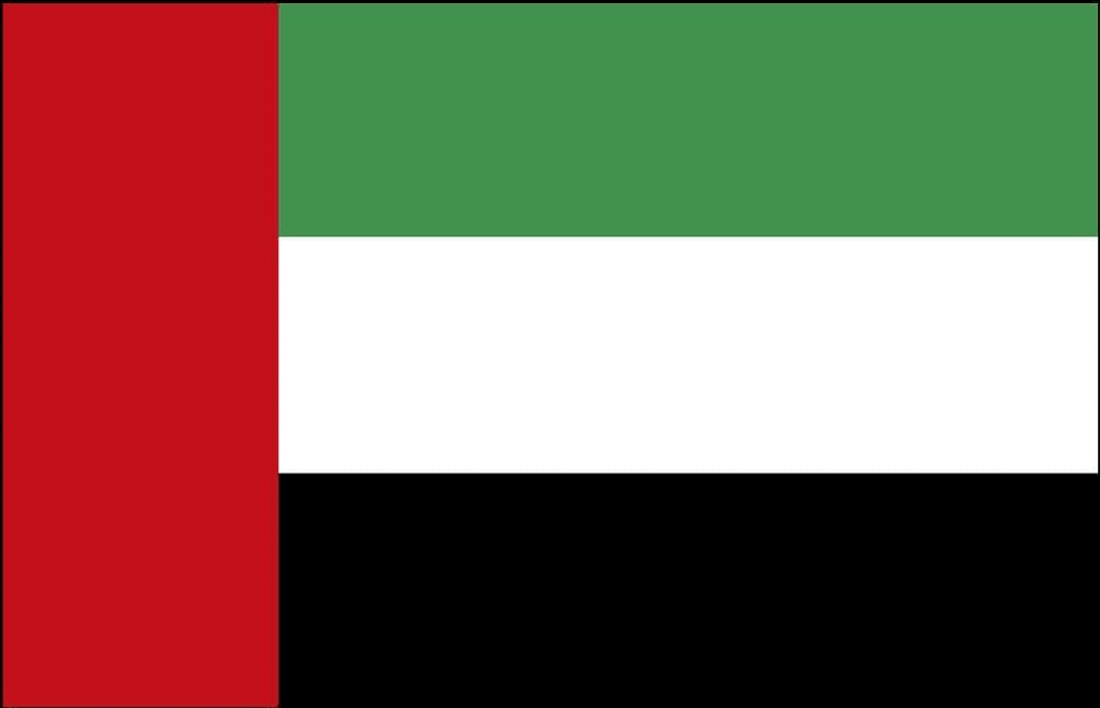 Alumni CSA aux Emirats Arabes Unis 