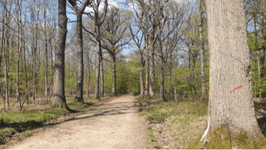 Randonnée en boucle  Sceaux - Verrières le Buisson