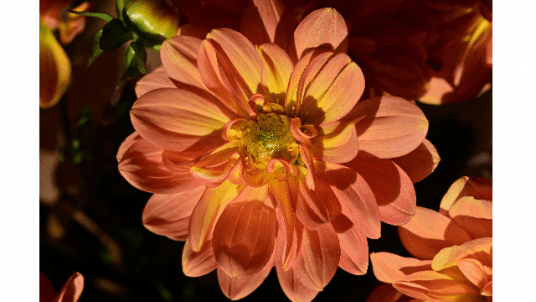 Réunion du club photo numérique