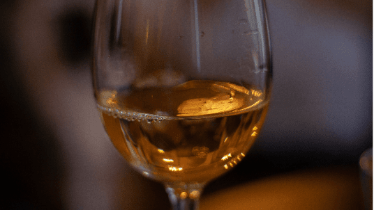 Afterwork - CSA Oenologie