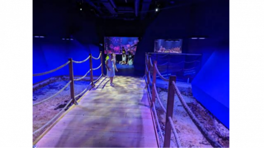  Visite de Posidonia